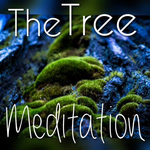 The Tree Meditation - A Guided Meditation