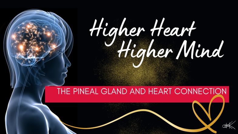 The Pineal Gland And Heart Connection