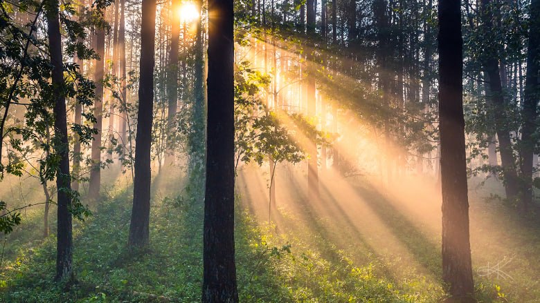 What is a Spiritual Awakening? Everything You Need To Know.