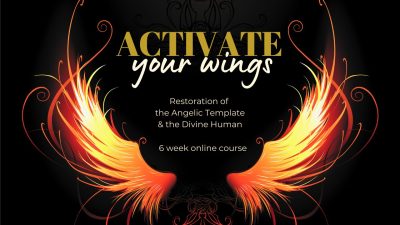 Activate Your Wings