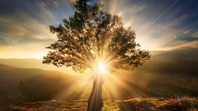 Discernment, the difference between empowerment and slavery