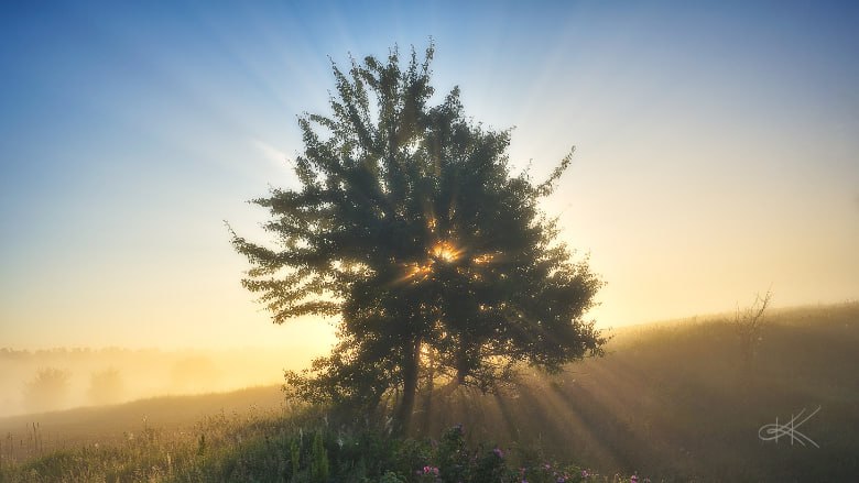 To the Misunderstood Ones:The Hidden Story of Lightworkers on Earth