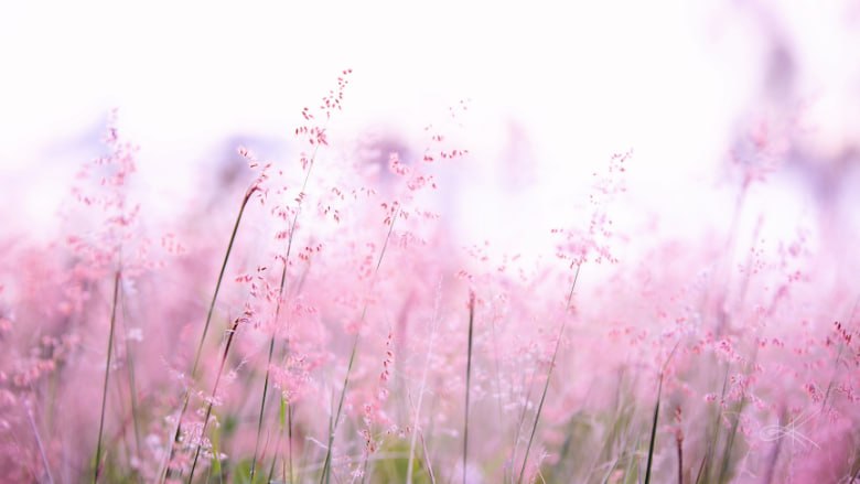 The Two Steps To HealingA Spiritual How-To