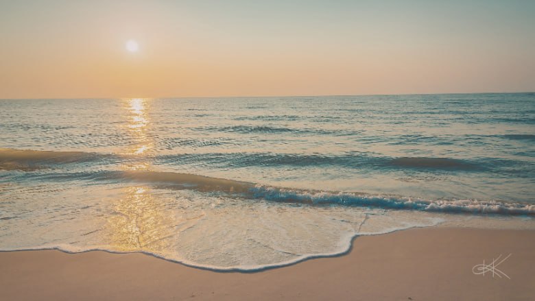 You Can’t Learn to Swimby Journalling About the Ocean