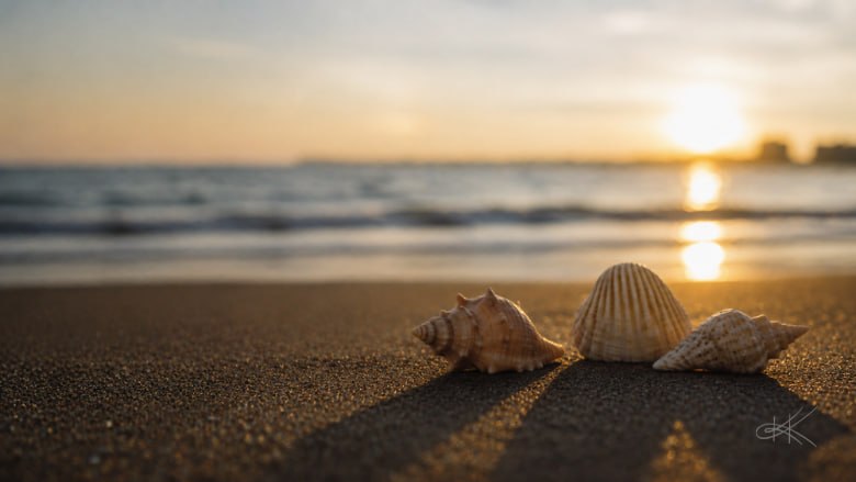Three seashells resting together on a beach at sunset, representing three spiritual truths.